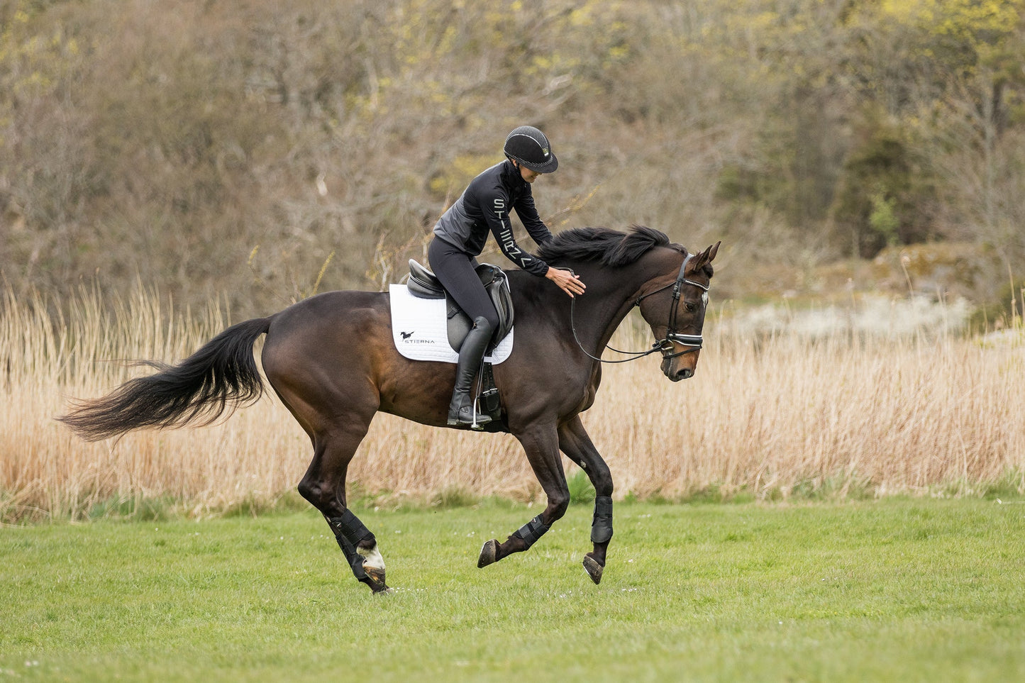 Axis Jacket - BlackStierna UK