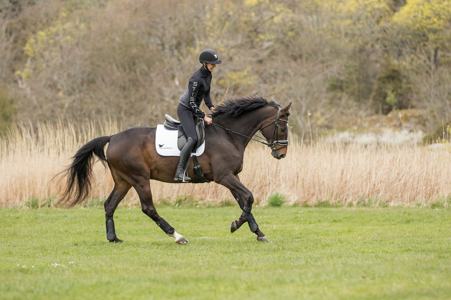 Axis Jacket - BlackStierna UK
