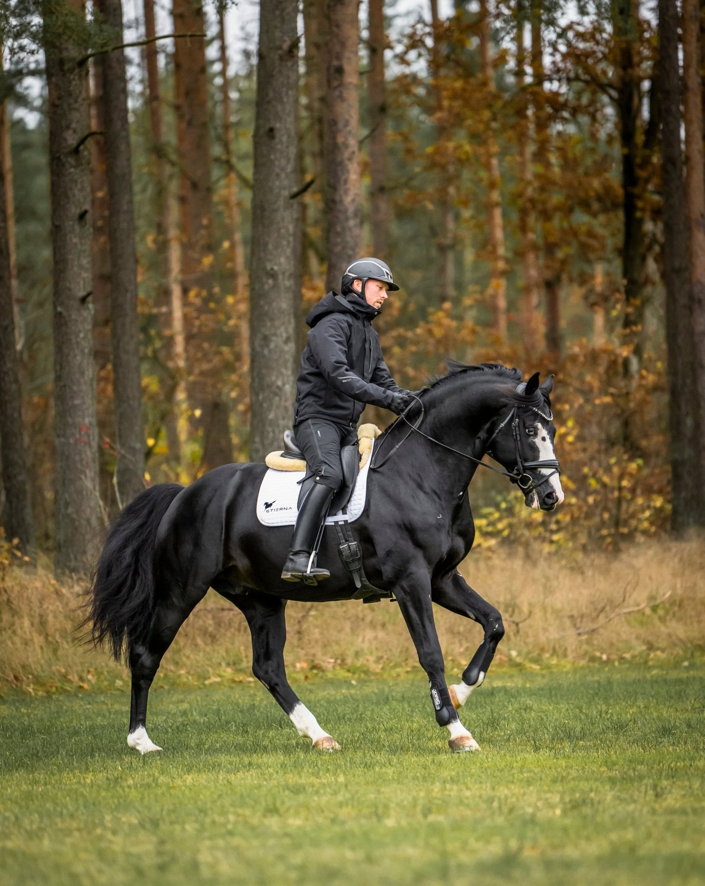 Sirius Winter Jacket - Midnight NavyStierna UK