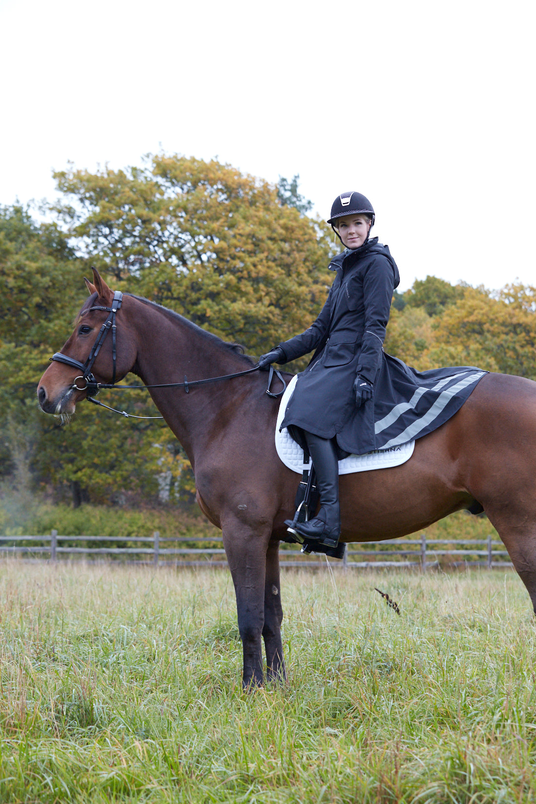 Stella Winter Coat  - Midnight Navy